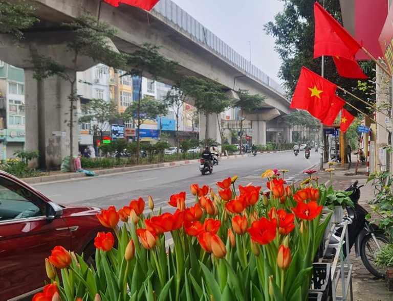 490914439 1236221338509899 648684298344513271 n 768x589