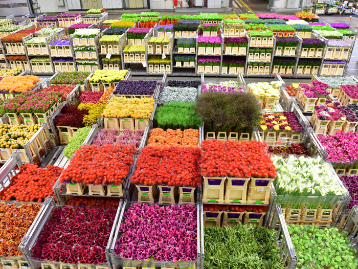 504267483 10231925466628634 793318621617293307 n