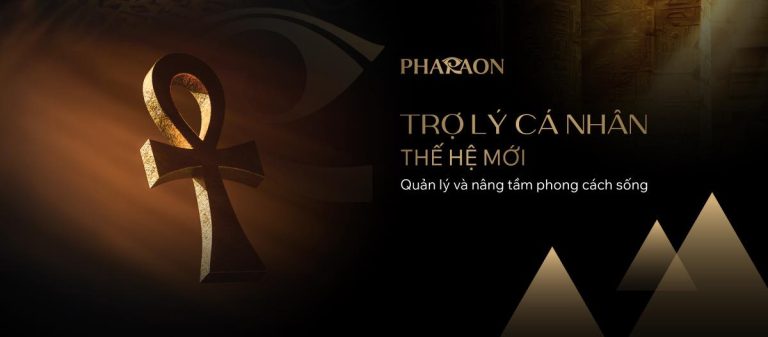 536278066 122134586636864850 4116297194710023690 n 768x337