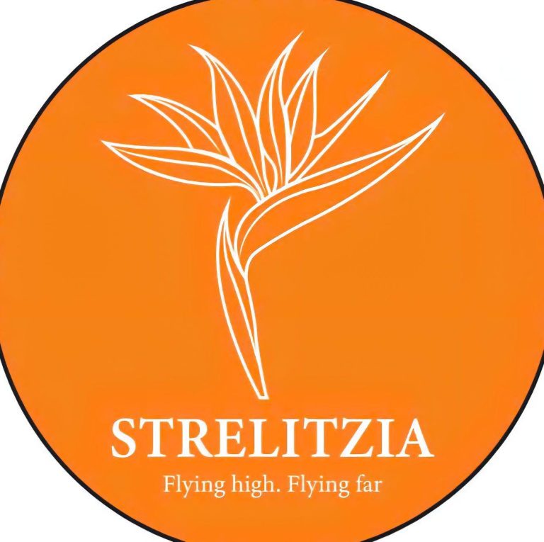 545460131 122116857866968187 6578687174462980857 n 1 768x765