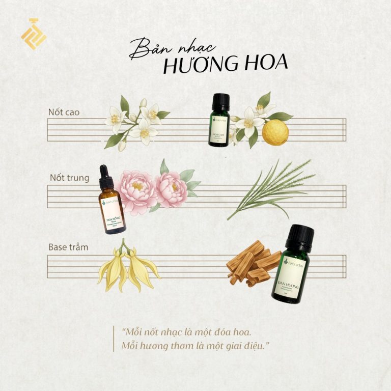 560388381 787385960828413 5265386136949827322 n 768x768