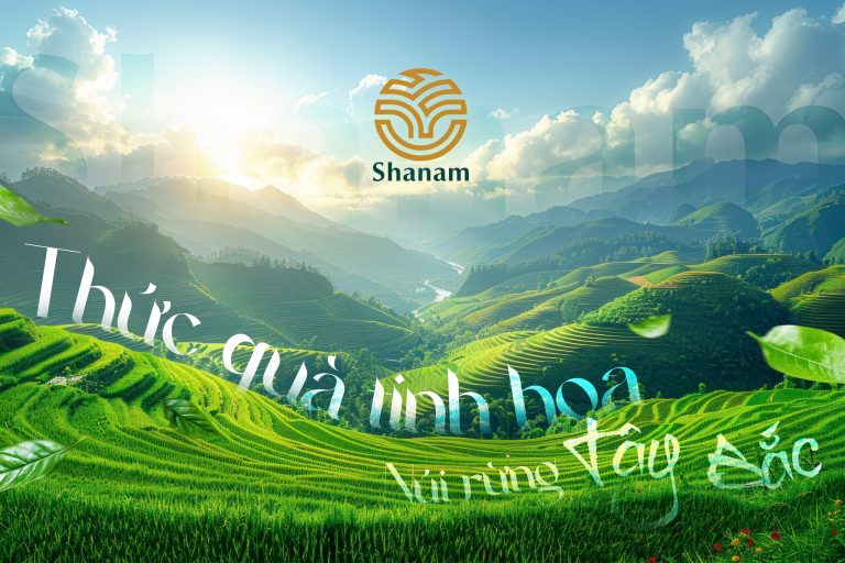 581088185 1392465612880905 2767376109956611502 n 768x512